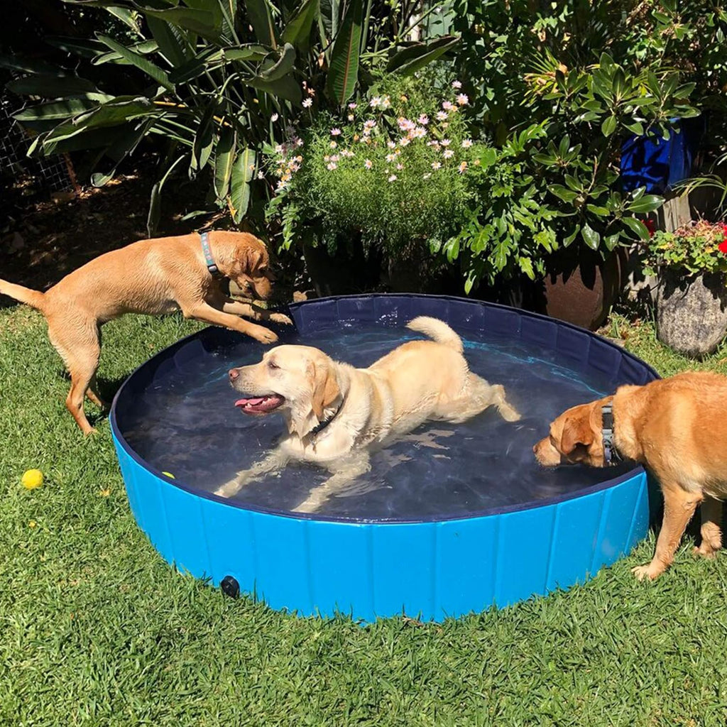 Dog Pool Foldable Pet Outdoor Swimming Pool Collapsible Anti-Slip Hard PVC Pet Paddling Bathtub for Large and Xtra Large Dogs, Kids, Pets